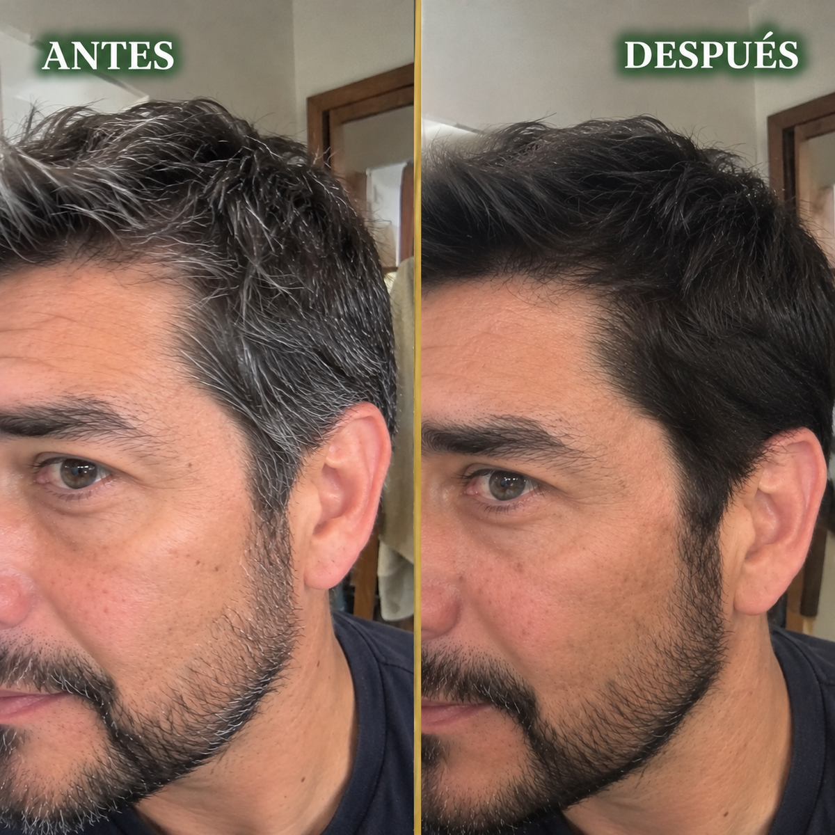 Shampoo Pinta Canas Dissar